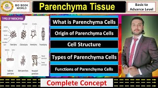 Parenchyma Tissue  Types of Parenchyma  Simple Permanent Tissue  Complete Detail [upl. by Sousa]