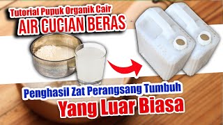 PUPUK ORGANIK CAIR DARI AIR CUCIAN BERAS [upl. by Ahseka]