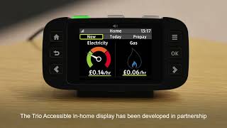 Chameleon 3 Guide  How to use your smart meter inhome display [upl. by Eednil]