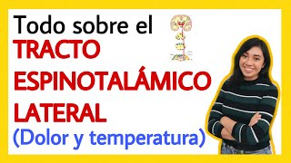 Tracto espinotalámico lateral ¡FÁCIL EXPLICACIÓN  Dolor y temperatura  Sistema de analgesia [upl. by Katt]