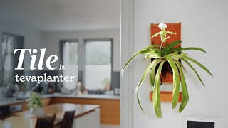 Now on Kickstarter Tile Grow Like Nature [upl. by Marilla]