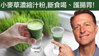 小麥草汁粉高葉綠素和植物素斷食可喝、修復腸胃與地中海貧血柏格醫生 Dr Berg [upl. by Assilana391]