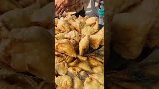 Guna Street Food Madhya Pradesh Snacks bedai Samosa Poha breadvada cheapeststreetfood [upl. by Alo]