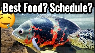 Best Food for Oscar Fish  Feeding Schedule amp Treats [upl. by Ver214]