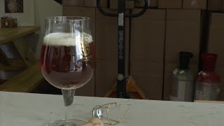 Beer recovered from 1880s shipwreck gets new life [upl. by Ecnal]