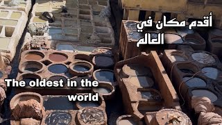 أقدم دار للدباغة في العالمThe oldest Tanneriesin the world [upl. by Essenaj68]