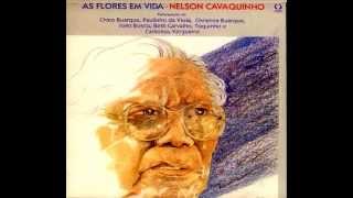 Rugas  Beth Carvalho canta Nelson Cavaquinho  Flores em Vida 1985 [upl. by Malin]