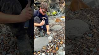 HUNTING For FOSSILS On The Beach 🦑😵‍💫🤯🦞🦖😱😵🐊🔨 [upl. by Jarrow]