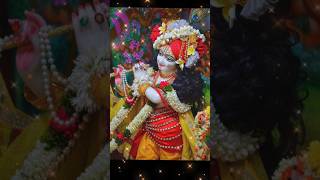 जी लेंगे सरकार। Ji Lenge Sarkar  Shree Shyam Bhajan  Best Krishna Bhajans syam krishnabhajan [upl. by Melcher123]