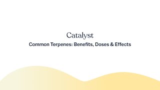 Common Terpenes Their Benefits Doses amp Effects [upl. by Dnesnwot9]