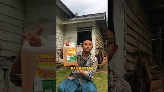 HARGA MINYAK GORENG DI KALIMANTAN [upl. by Duck]