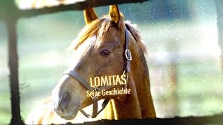 Dokumentation über Lomitas und Monty Roberts [upl. by Clo]