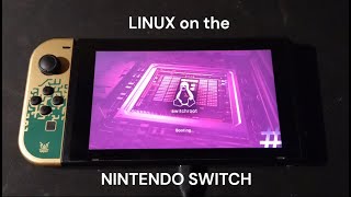 INSTALL LINUX on your NINTENDO SWITCH or maybe dont [upl. by Avlasor881]