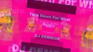 Turn Down For What RemixDJ DEMBOW [upl. by Ahsin577]