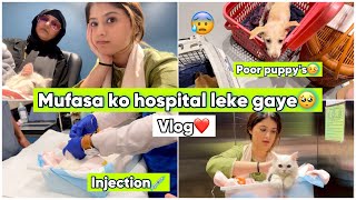 Mufasa ko hospital le gaye🥺🏥  Vlog  Arishfa khan [upl. by Cranford]