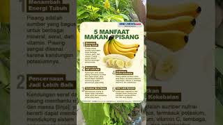 Pisang  banana fruit health [upl. by Lezned]