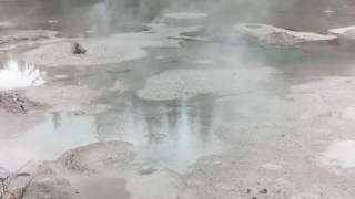 MUD POOLS  ROTORUA  NEW ZEALAND [upl. by Lielos]