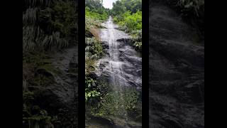 Cascade Couleuvre Prêcheur Martinique cascade martinique waterfall [upl. by Aicul258]