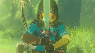 THE LEGEND OF ZELDA BREATH OF THE WILD  Como conseguir la Espada Maestra [upl. by Ryley]