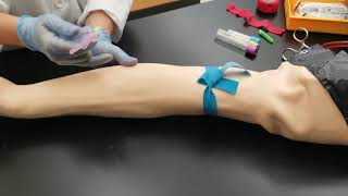 Phlebotomy Venipuncture Procedure [upl. by Nylleoj36]