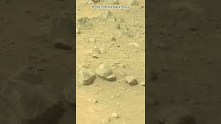 Perseverance Rover Sol 1302  Mars New 4k Video  Mars 4k Video  Mars In 4k  Mars shorts [upl. by Josefina]