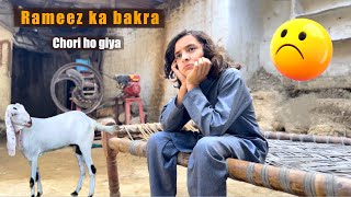 Rameez ke Qurbani ka bakra Gayab  Naeem aw Rameez [upl. by Yrian]