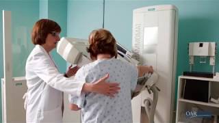 What Is a Mammogram [upl. by Urd]