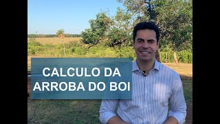 ARROBA DO BOI  APRENDA A FAZER O CÁLCULO [upl. by Salvidor]