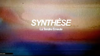 SYNTHÈSE  La Tendre Émeute [upl. by Neenwahs929]