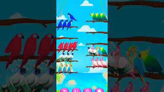 Bird shot color puzzle Trailer birds gamingtrendingsonglove birdsortcolor viral [upl. by Zimmerman]