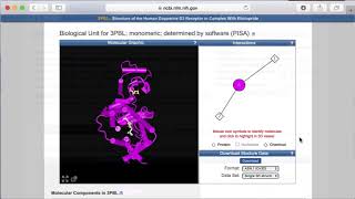 NCBIの構造系ツールを使ってタンパク質の関連情報を調べる [upl. by Submuloc]