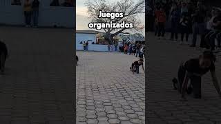 Señoras gateando en juegos organizados [upl. by Chamkis]