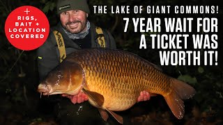 Winter Carp Fishing on Frimley with Dave Levy [upl. by Nalym761]