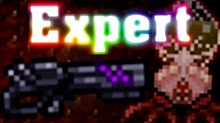 Hardmode Terraria Expert Mode 8 [upl. by Ainak369]