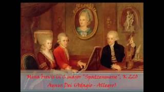 Agnus Dei Spatzenmesse Mozart [upl. by Aseek]