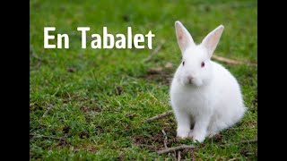 TABALET [upl. by Free]