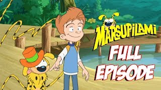 Celebrity Artists  Marsupilami FULL EPISODE  Season 2  Episode 10 [upl. by Natiha529]