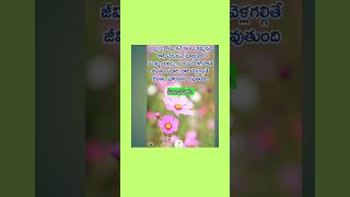 మంచి మాట Subscribe👍👍 [upl. by Apoor289]