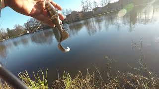 test Rapala XRap Otus [upl. by Aphra]