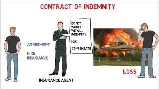 Contract of Indemnity Indian Contract Act 1872 [upl. by Liahkim]