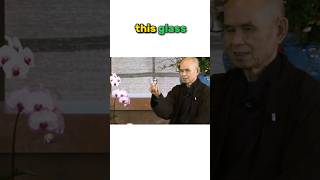 Thich Nhat Hanh Wisdom Teaching [upl. by Imelda]