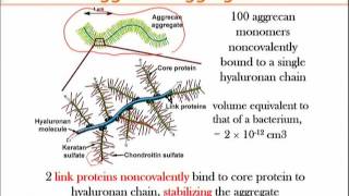 BIO734Topic145 [upl. by Vish]