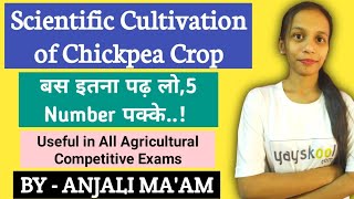 Cultivation of Chickpea FCI AGM UPPSC DHOIBPS AFOICAR JRF ASRB NETSRFAAOADOAgriculture amp GK [upl. by Eecyak]