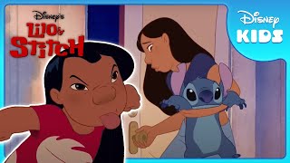 Stitchs New Home 🏠  Lilo and Stitch  Disney Kids [upl. by Fradin]