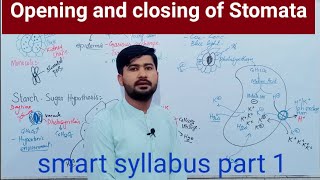 144 Opening and Closing of Stomata  Structure and Functions of Stomata Fsc Biology 11 [upl. by Airrehs]