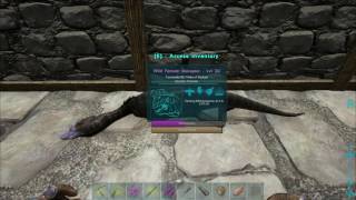 How to tame an Oviraptor ULTIMATE GUIDE  Ark Ragnarok [upl. by Alyekahs]