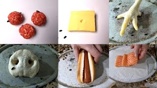 Flesh Eating Beetles VS Food Compilation Timelapse [upl. by Kaleena749]