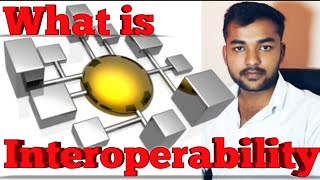 What is Interoperability Meaning Detail and Explanation In Hindi [upl. by Gary]