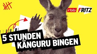 Alle Folgen von Neues vom Känguru reloaded  5 Stunden  MarcUwe Kling  KänguruChronikenStorys [upl. by Hardigg838]