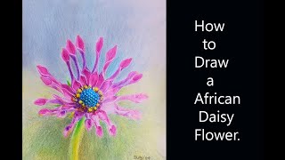 How to Draw an African Daisy Flower Flower drawing [upl. by Erasmus]